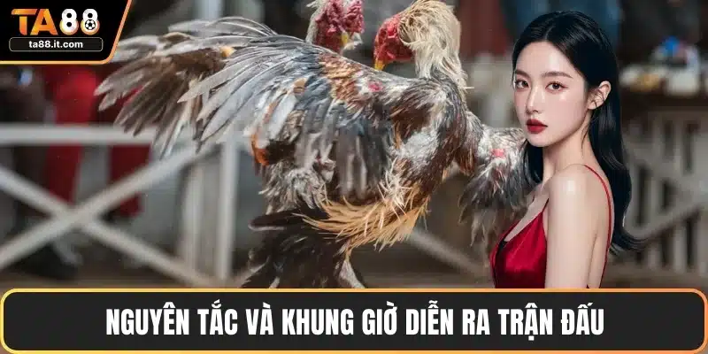 Nguyên tắc và khung giờ diễn ra trận đấu