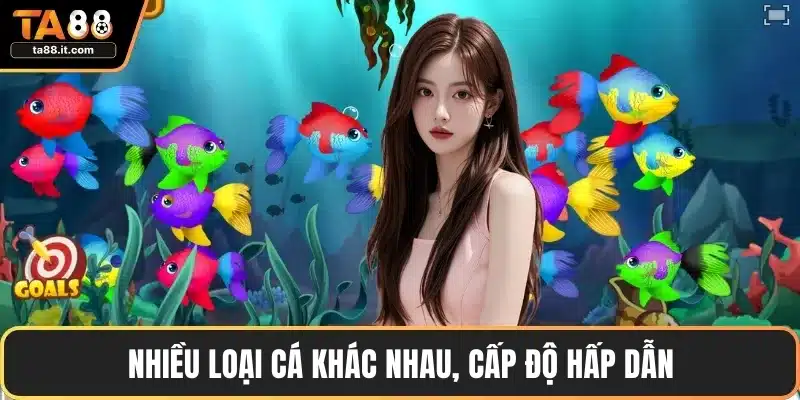 Nhiều loại cá khác nhau, cấp độ hấp dẫn